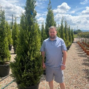 Cupressocyp Leyandii 200cm - 250cm | 30L Pot