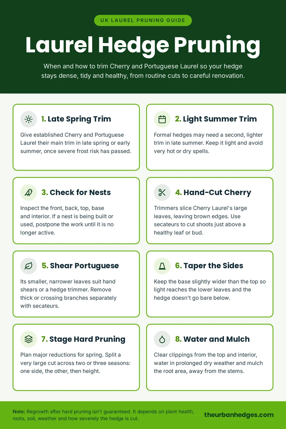 Infographic of how to prune a Laurel hedge, covering the late spring main trim, a light late-summer trim, checking for nests, hand-cutting Cherry Laurel, shearing Portuguese Laurel, tapering the sides, staged hard pruning, and watering and mulching.