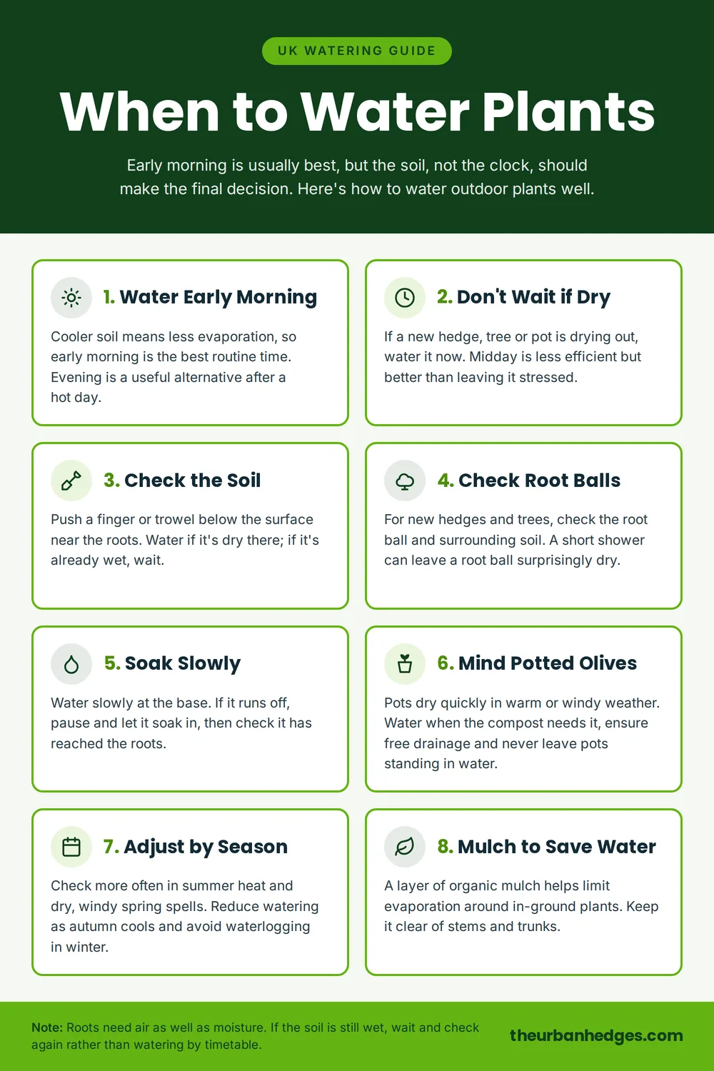 Infographic of when to water outdoor plants in the UK: water early morning, don’t wait if plants are dry, check the soil, check root balls, soak slowly, mind potted olives, adjust by season, and mulch to save water.